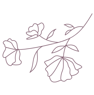 Wildcrafting Wellness