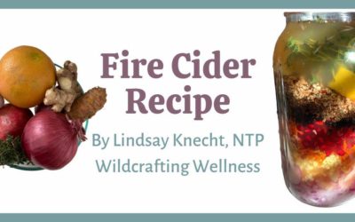 Fire Cider Recipe from Wildcrafting Wellness