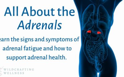 All About the Adrenals